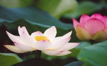 Nghiên cứu học tập để nâng cao phẩm chất cuộc sống tinh thần của mình